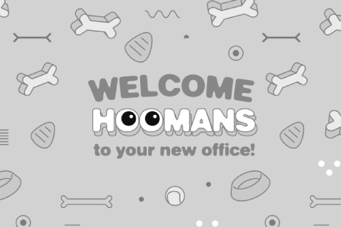 PET CITY | WELCOME HOOMANS