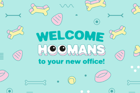 PET CITY | WELCOME HOOMANS